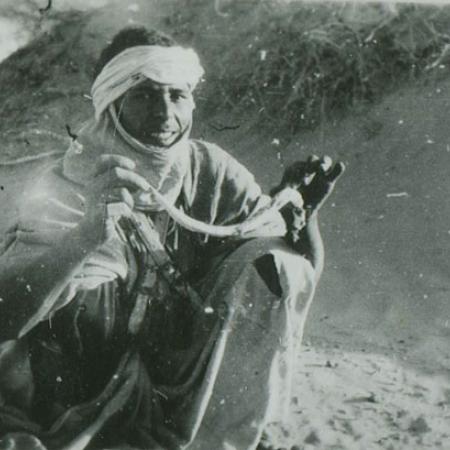 Fonds VIII - Ghardaïa